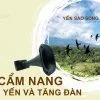 dụ yến