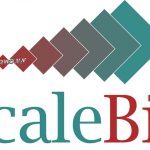 Scale Biz