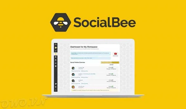 mua chung SocialBee