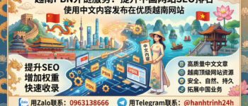 中文 PBN 文章 越南 .vn 域名